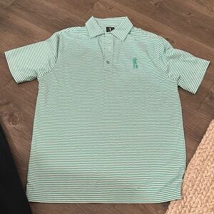 Green Striped Polo Shirt